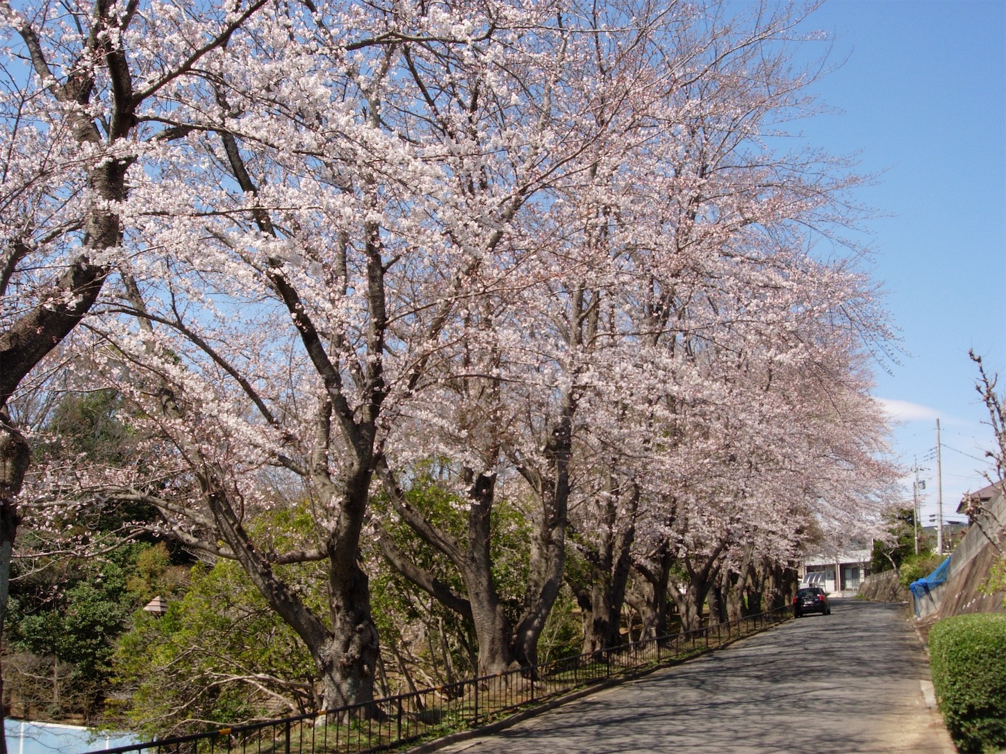 f:id:marutetsukitachiba:20190404180245j:image