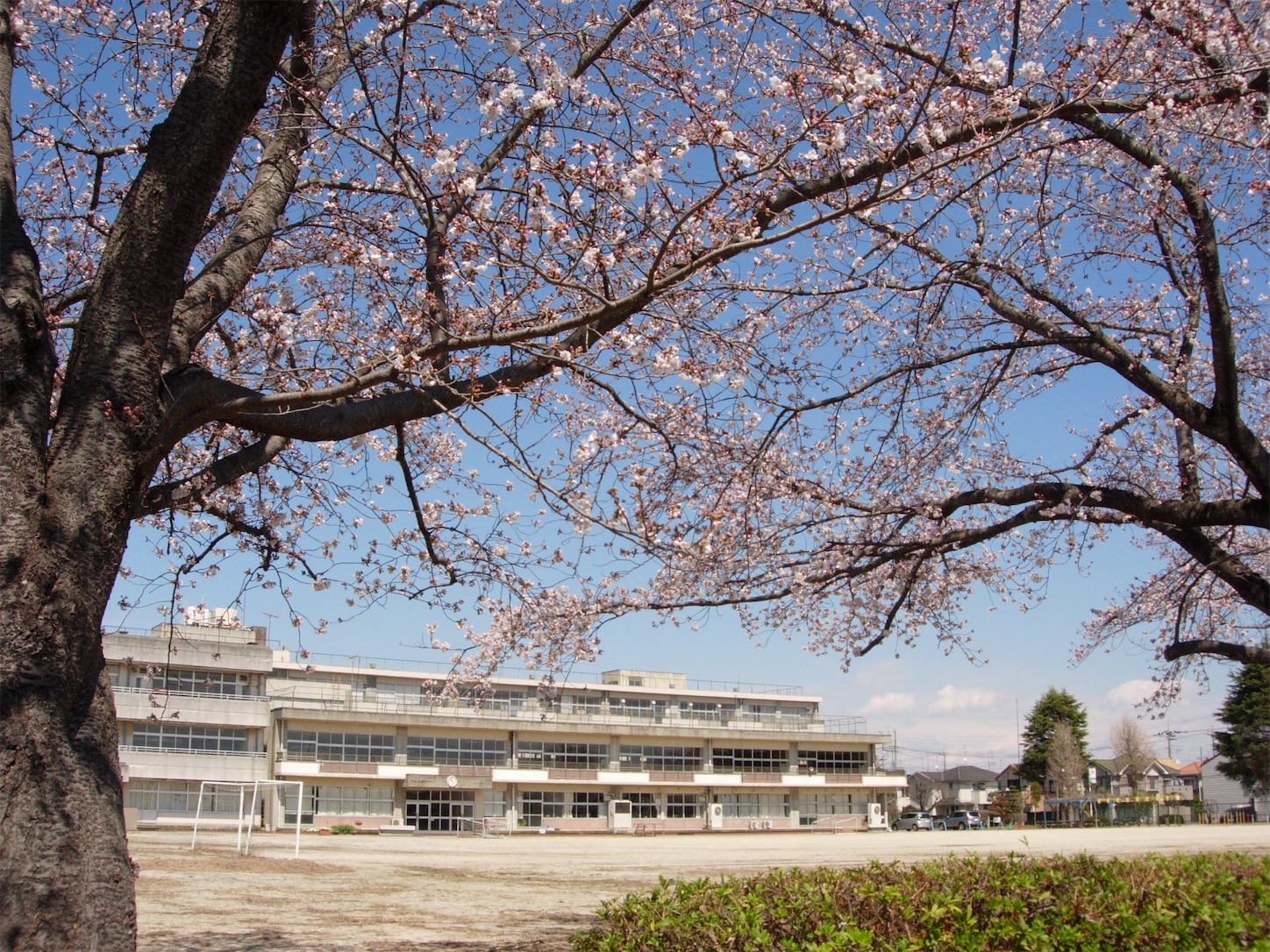 f:id:marutetsukitachiba:20190404180312j:image