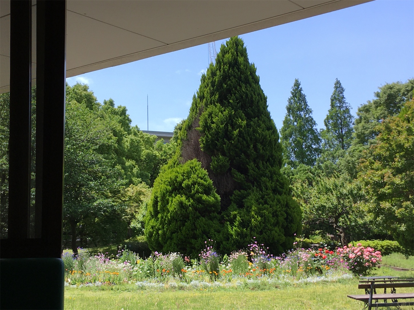 f:id:marutetsukitachiba:20210510143621j:image f:id:marutetsukitachiba:20210510143621j:image