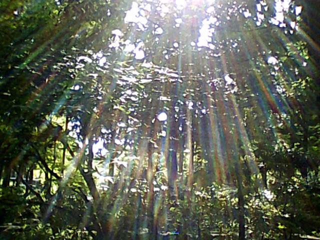 f:id:maruttosan:20220521205155j:image