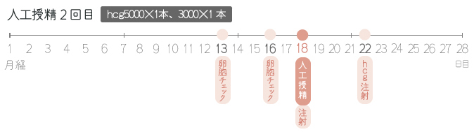人工授精の通院スケジュール(2周期目)
