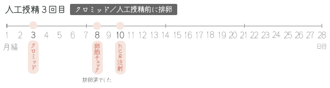 人工授精の通院スケジュール(3周期目)