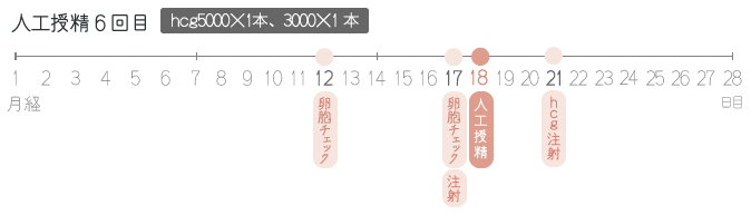 人工授精の通院スケジュール(6周期目)