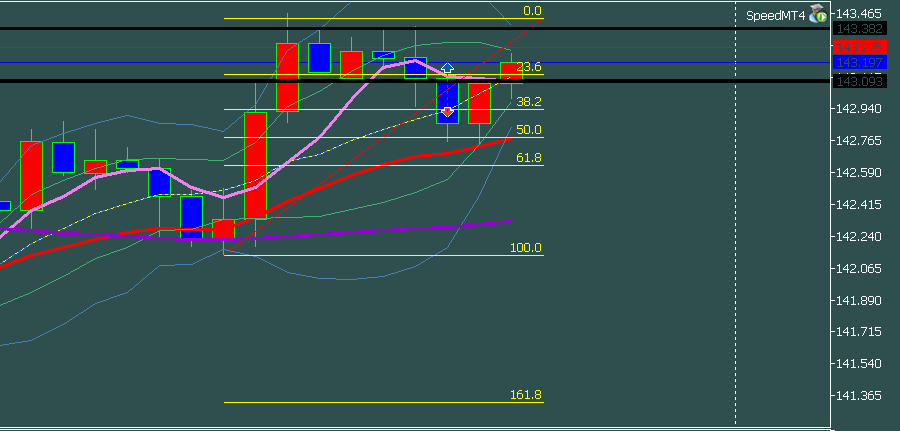 f:id:maruyaki_turkey:20200216211126p:plain