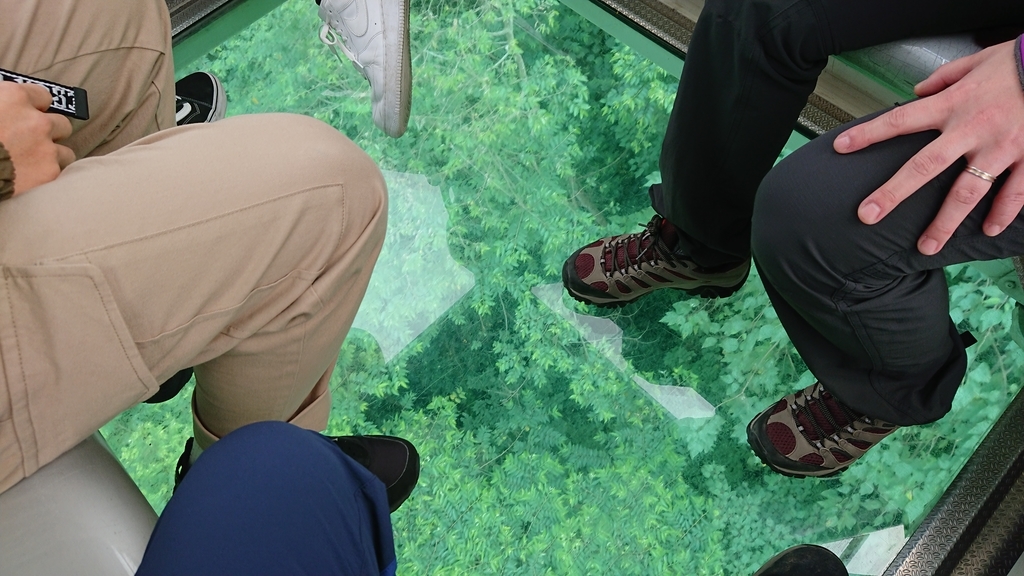 f:id:maruyamabase:20190206224633j:plain