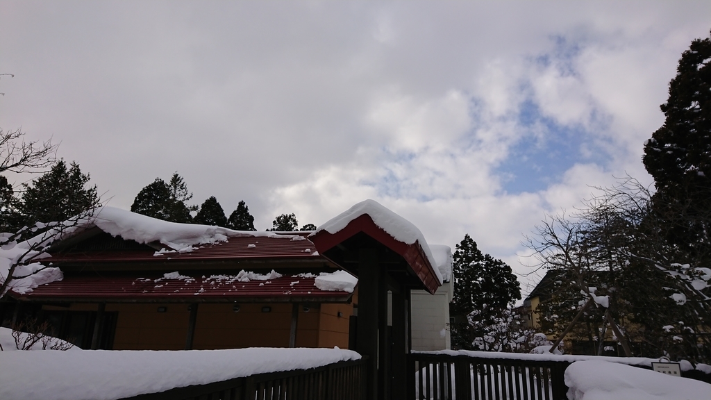 f:id:maruyamabase:20190216213023j:plain