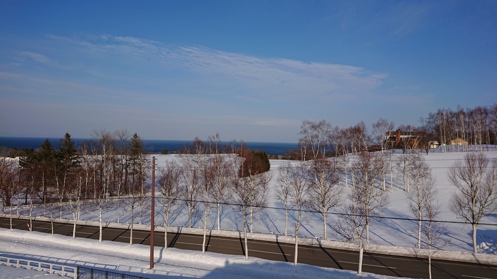 f:id:maruyamabase:20190227214045j:plain