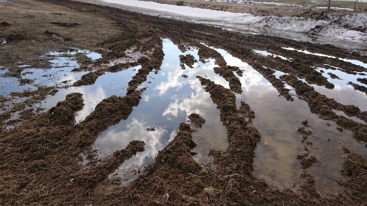 f:id:maruyamabase:20190412232107j:plain