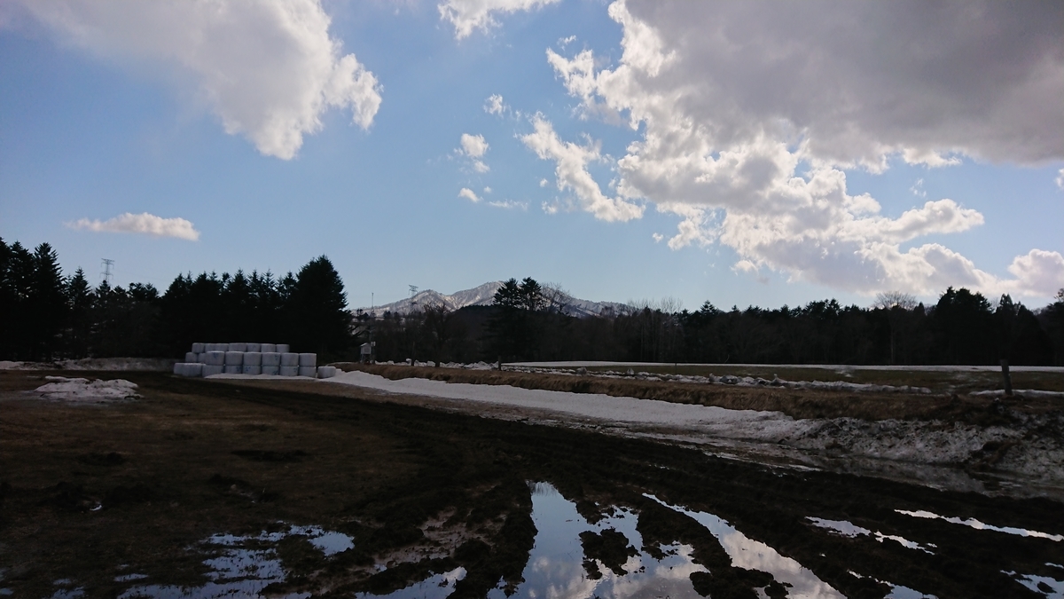 f:id:maruyamabase:20190412232403j:plain