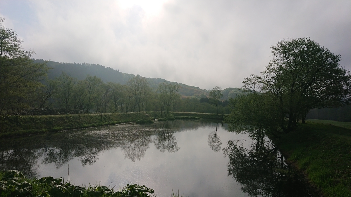 f:id:maruyamabase:20190515230308j:plain