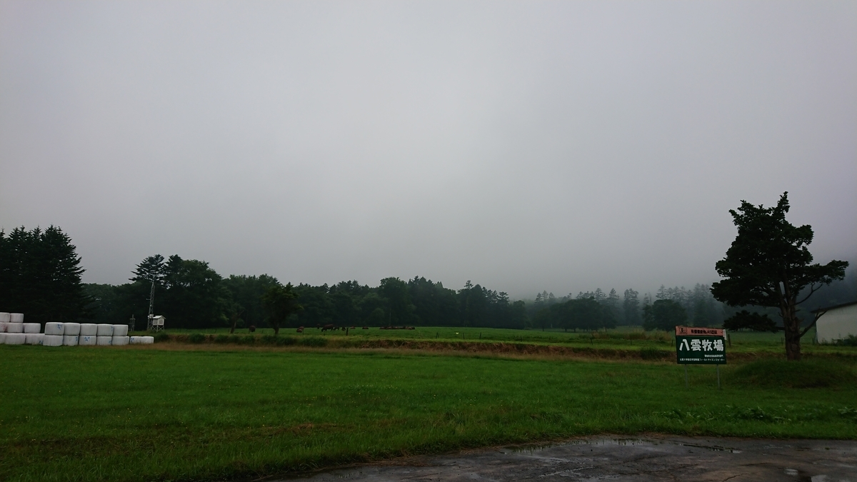 f:id:maruyamabase:20190727210857j:plain f:id:maruyamabase:20190727210857j:plain