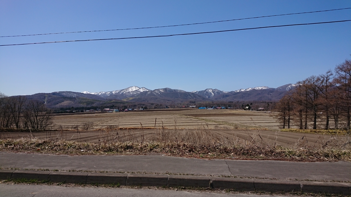 f:id:maruyamabase:20200501203002j:plain