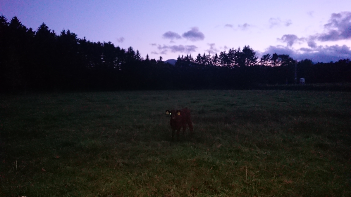 f:id:maruyamabase:20200928211754j:plain