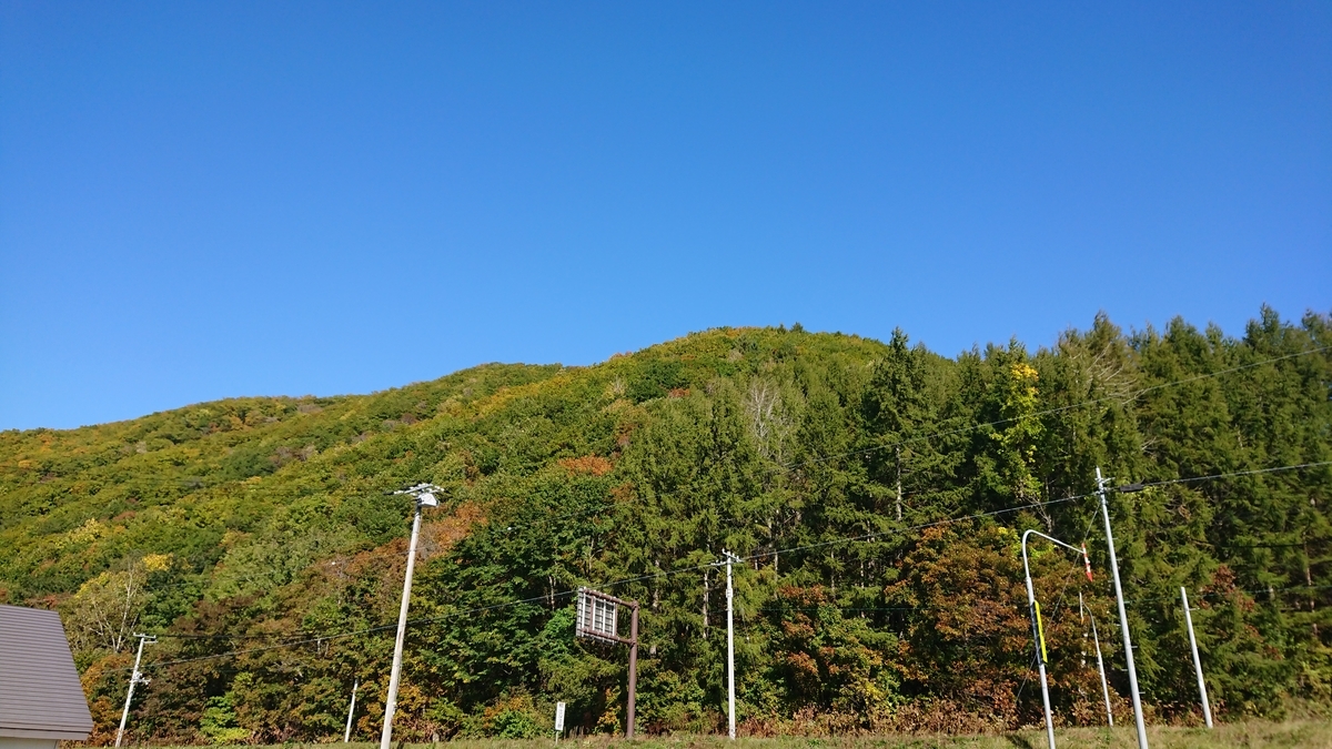f:id:maruyamabase:20201023204255j:plain
