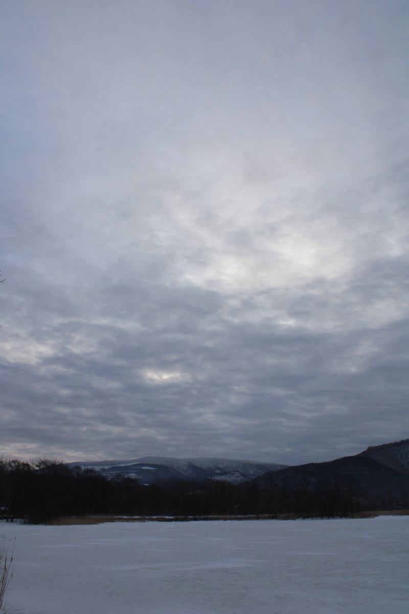 f:id:maruyamabase:20220215210324j:plain