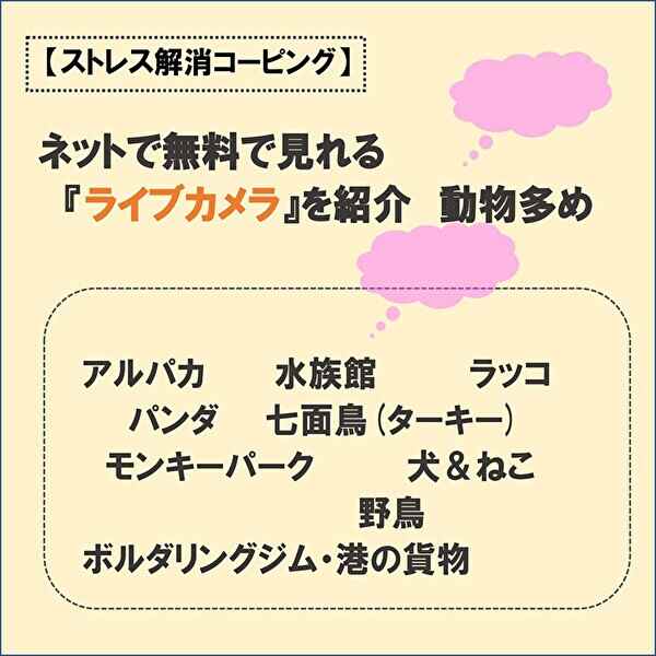 サムネイル,コーピング2,ひきこもり,ライブカメラおすすめ