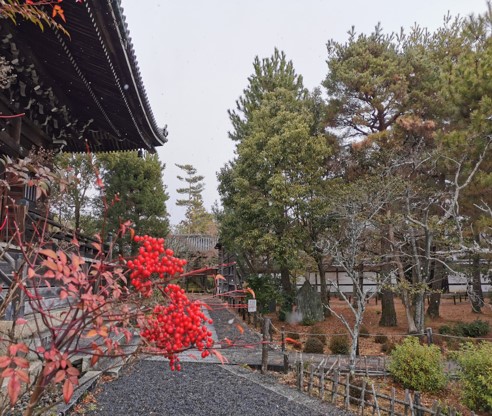 清凉寺の花