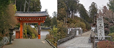 三室戸寺の門