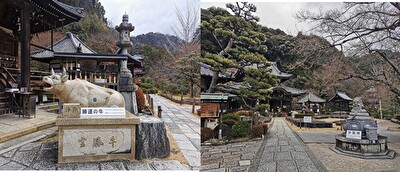 三室戸寺,境内