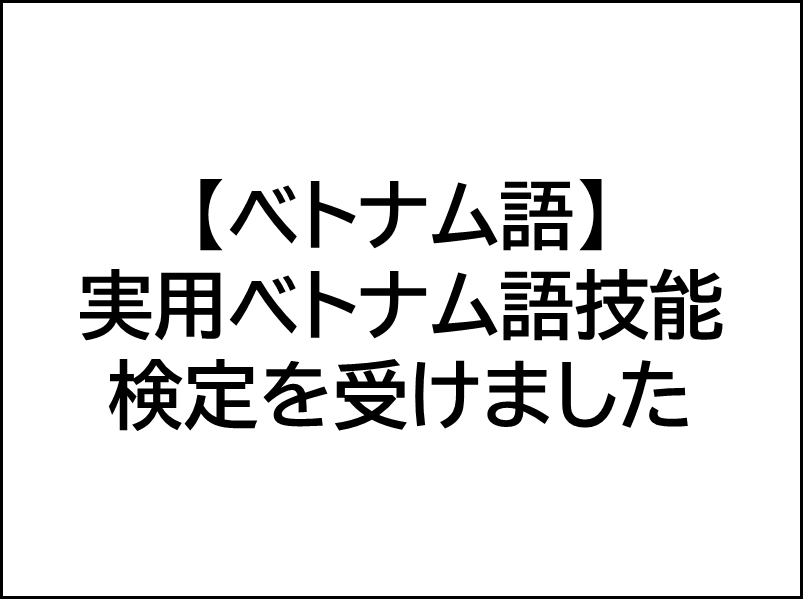実用ベトナム語技能検定試験,受けた結果