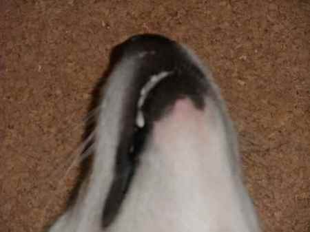 Dscf6092 Dscf6092