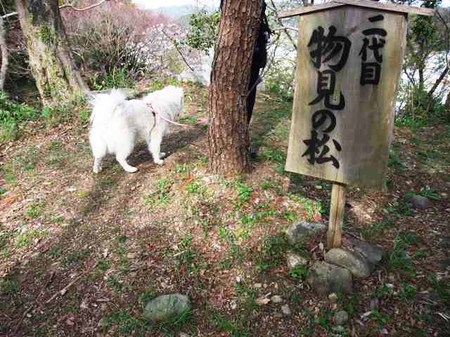 Dscf6818 Dscf6818