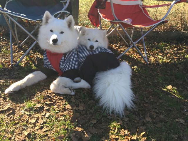 f:id:marvelous-marsha:20160918194212j:plain f:id:marvelous-marsha:20160918194212j:plain