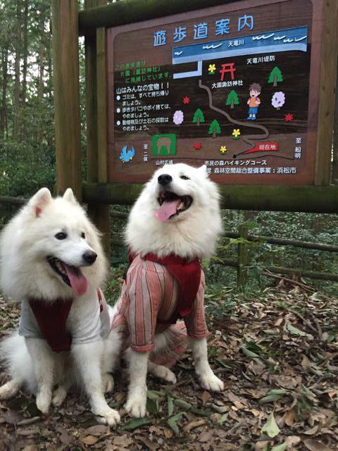 f:id:marvelous-marsha:20160918194730j:plain f:id:marvelous-marsha:20160918194730j:plain