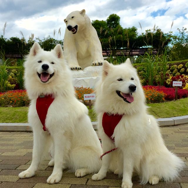 f:id:marvelous-marsha:20160918194746j:plain f:id:marvelous-marsha:20160918194746j:plain