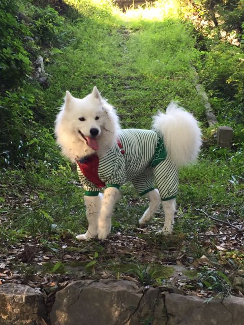 f:id:marvelous-marsha:20160918194820j:plain f:id:marvelous-marsha:20160918194820j:plain
