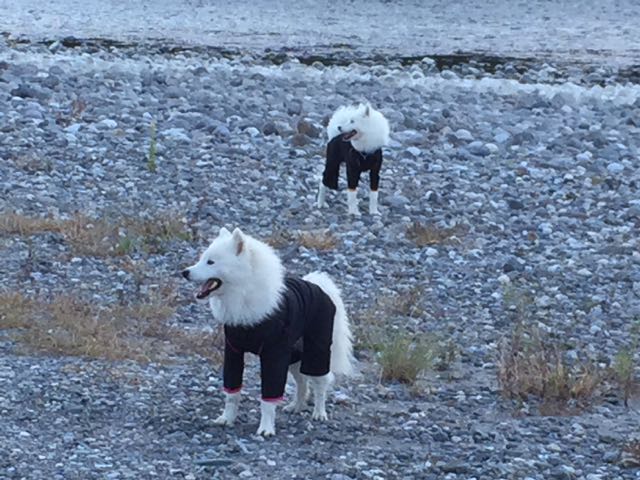 f:id:marvelous-marsha:20160918194824j:plain f:id:marvelous-marsha:20160918194824j:plain