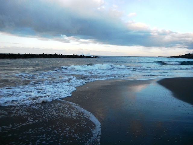 DSCF6574.jpg