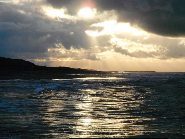 DSCF6576.jpg