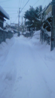 よっしゃん。の徒然なるままに・・・-201002061651001.jpg