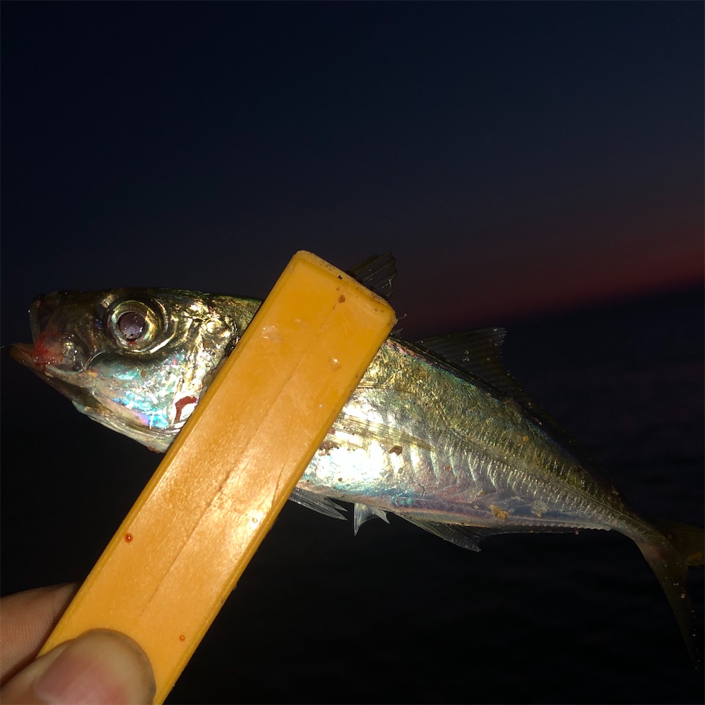 f:id:marvelousact:20210725223542j:image