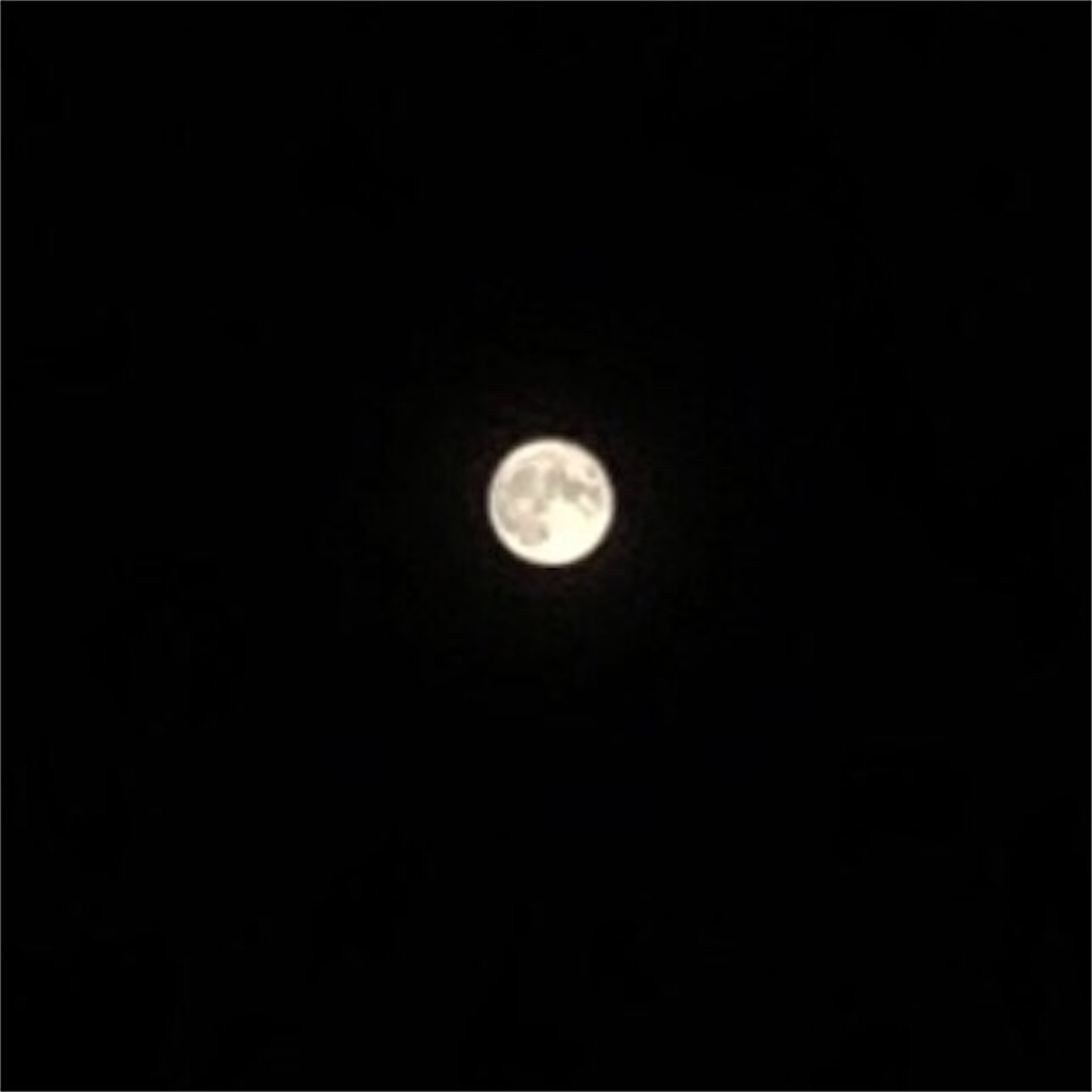f:id:marvelousact:20210921215836j:image f:id:marvelousact:20210921215836j:image