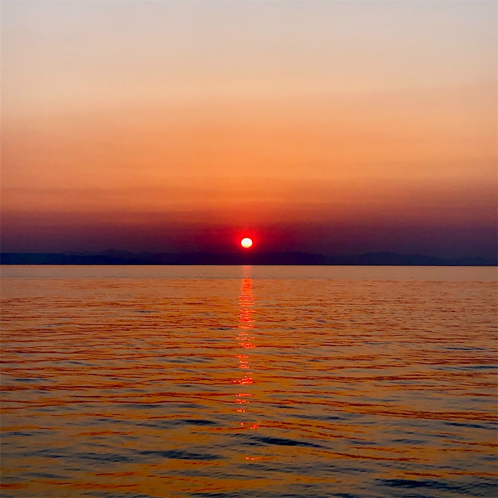 f:id:marvelousact:20220518230804j:image