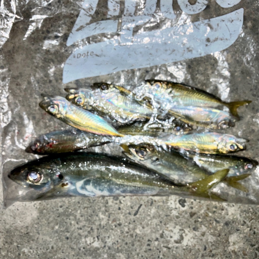 f:id:marvelousact:20221026212037j:image