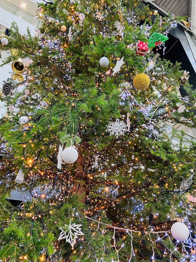 f:id:marvelousact:20221207184205j:image