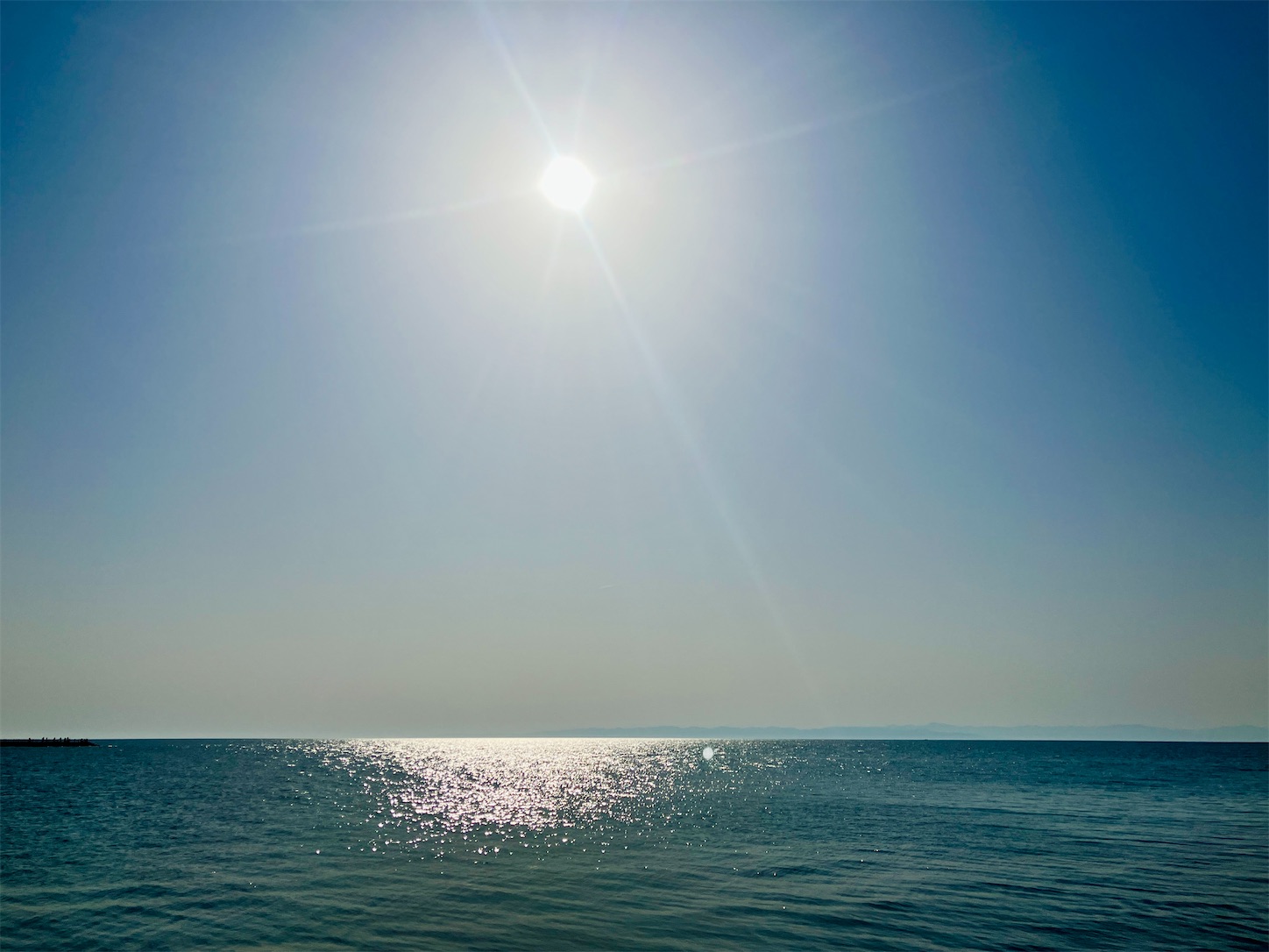 f:id:marvelousact:20240504192800j:image f:id:marvelousact:20240504192800j:image