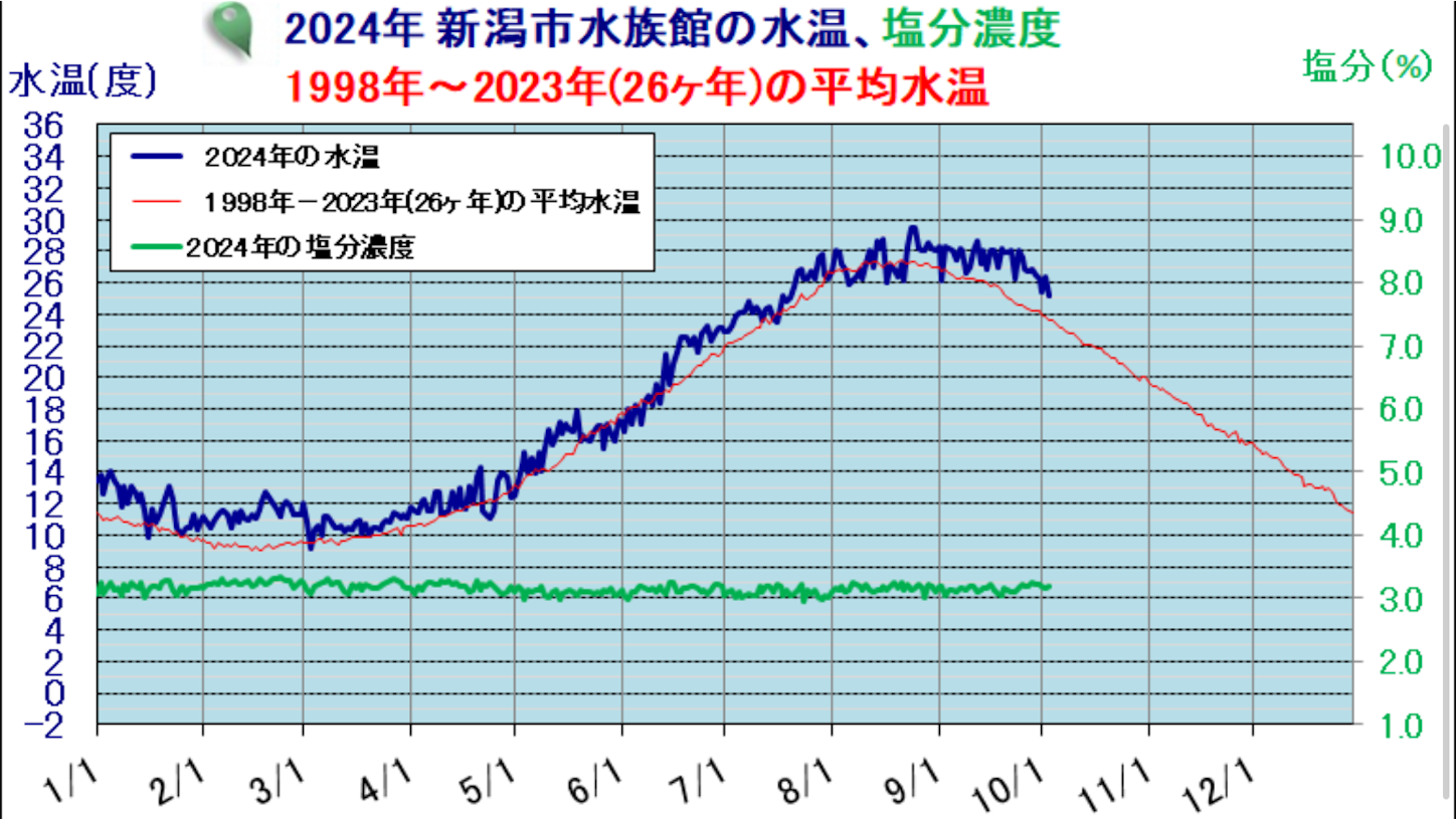 f:id:marvelousact:20241003171126p:image