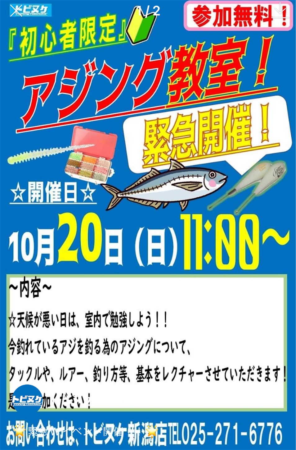f:id:marvelousact:20241020153746j:image