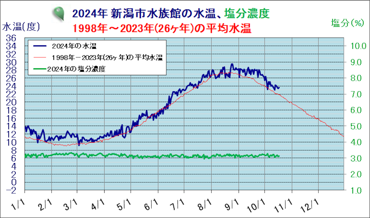 f:id:marvelousact:20241020154122p:image