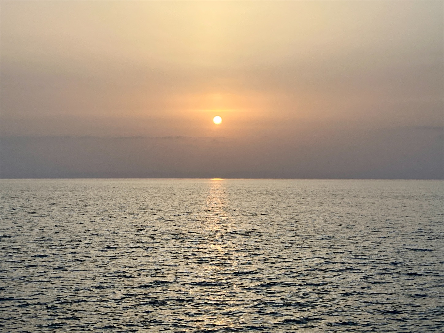 f:id:marvelousact:20250419043337j:image