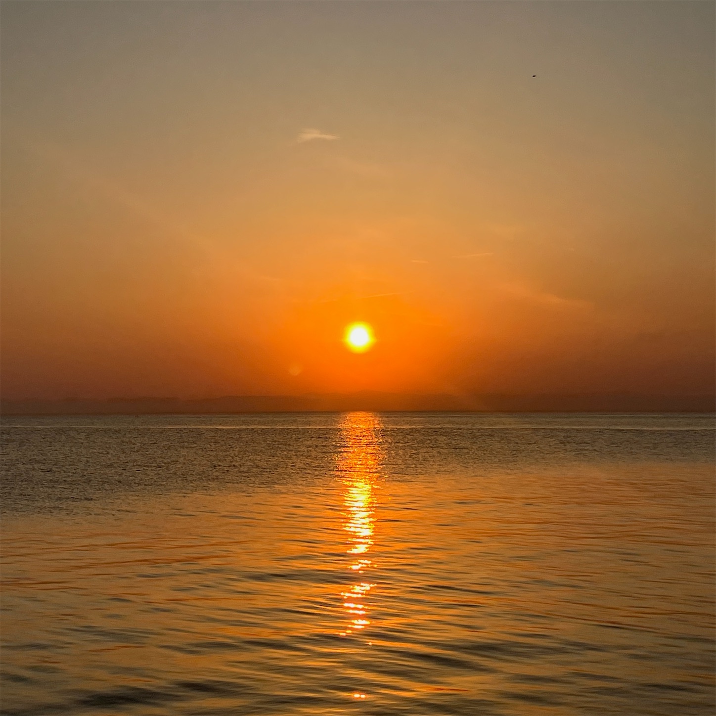 f:id:marvelousact:20250502130006j:image