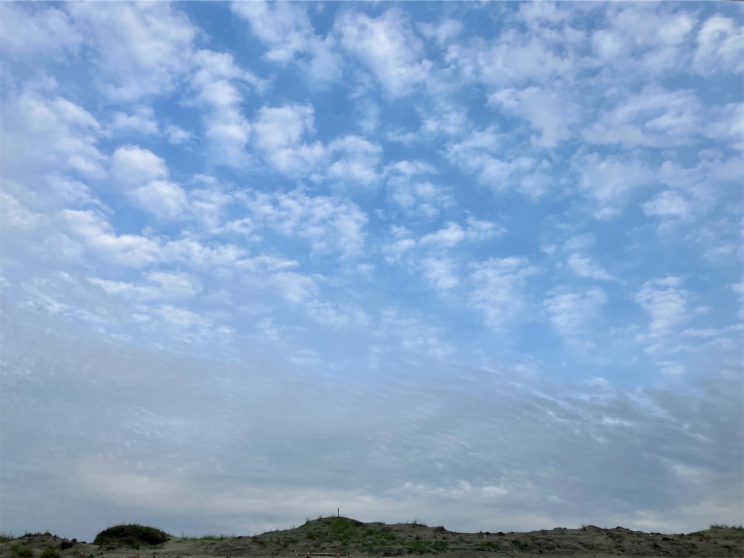 f:id:marvelousact:20250519205436j:image f:id:marvelousact:20250519205436j:image