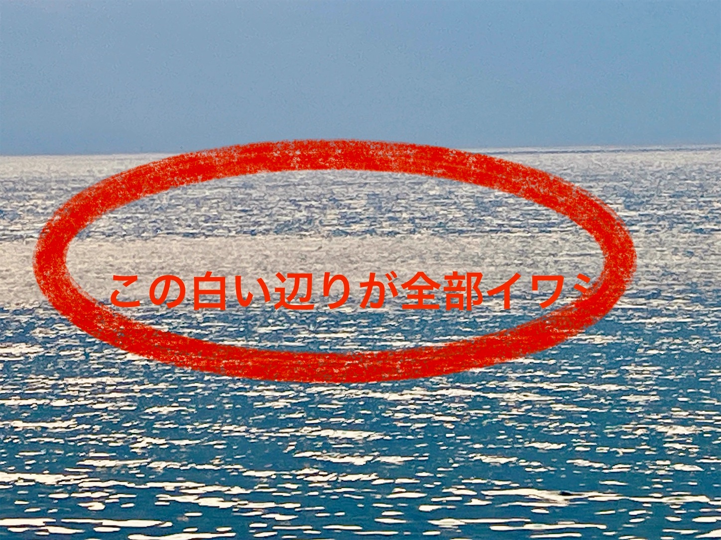 f:id:marvelousact:20250621223558j:image