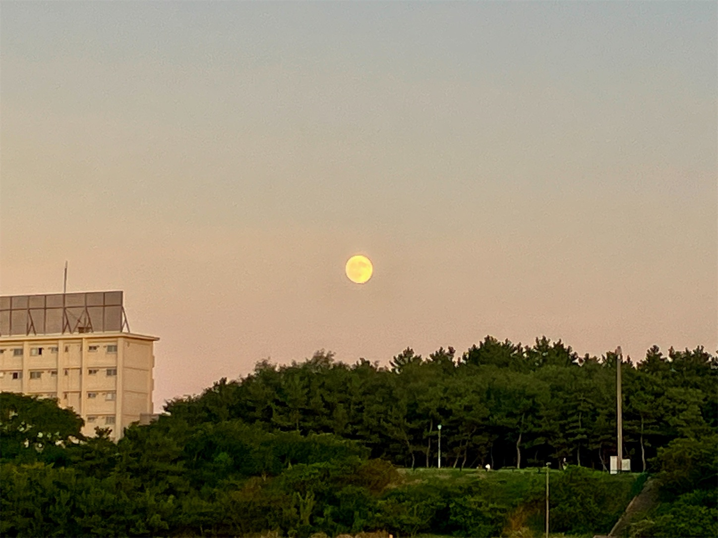 f:id:marvelousact:20250907002037j:image