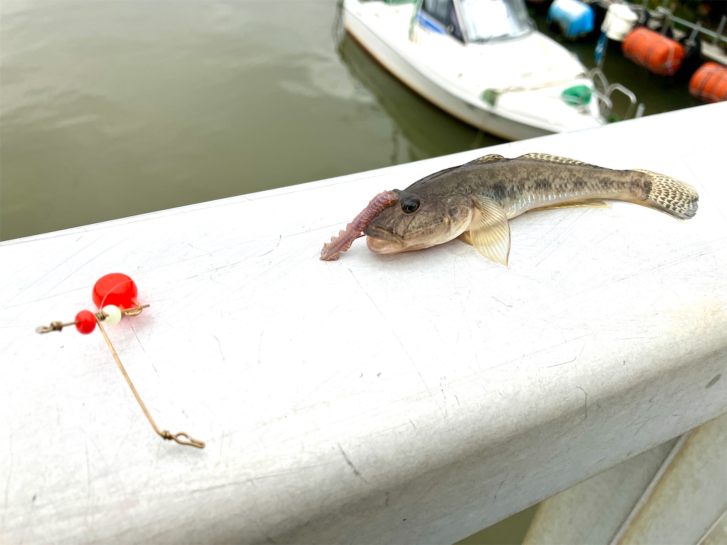 f:id:marvelousact:20251010184443j:image