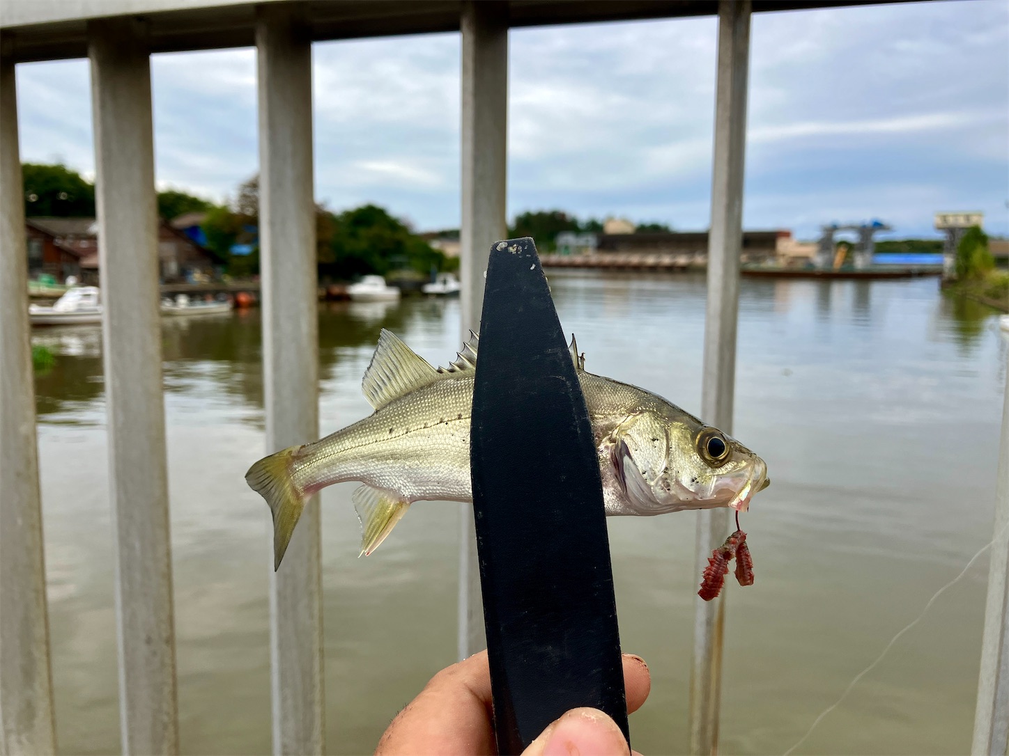 f:id:marvelousact:20251010185412j:image